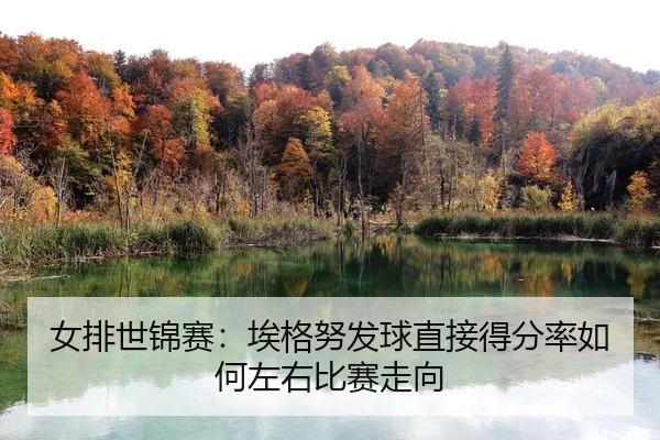 女排世锦赛：埃格努发球直接得分率如何左右比赛走向